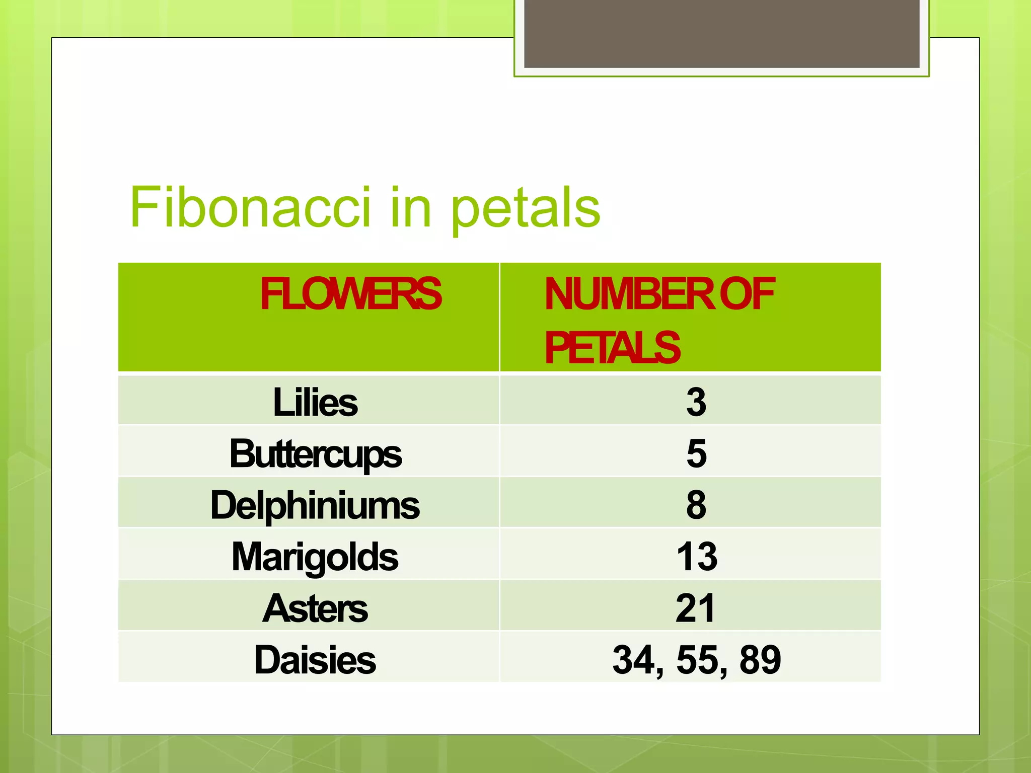 Fibonacci in petals
FLOWERS NUMBEROF
PET
ALS
Lilies 3
Buttercups 5
Delphiniums 8
Marigolds 13
Asters 21
Daisies 34, 55, 89