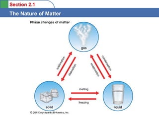 The nature of matter | PPT
