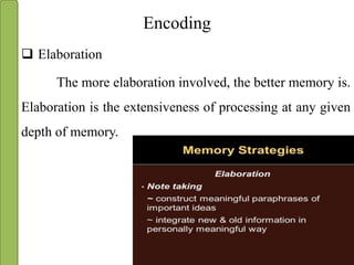 The nature of memory and encoding | PPTX