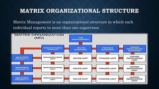 Supervisory Matrix The Nature of Organization ppt | PPTX