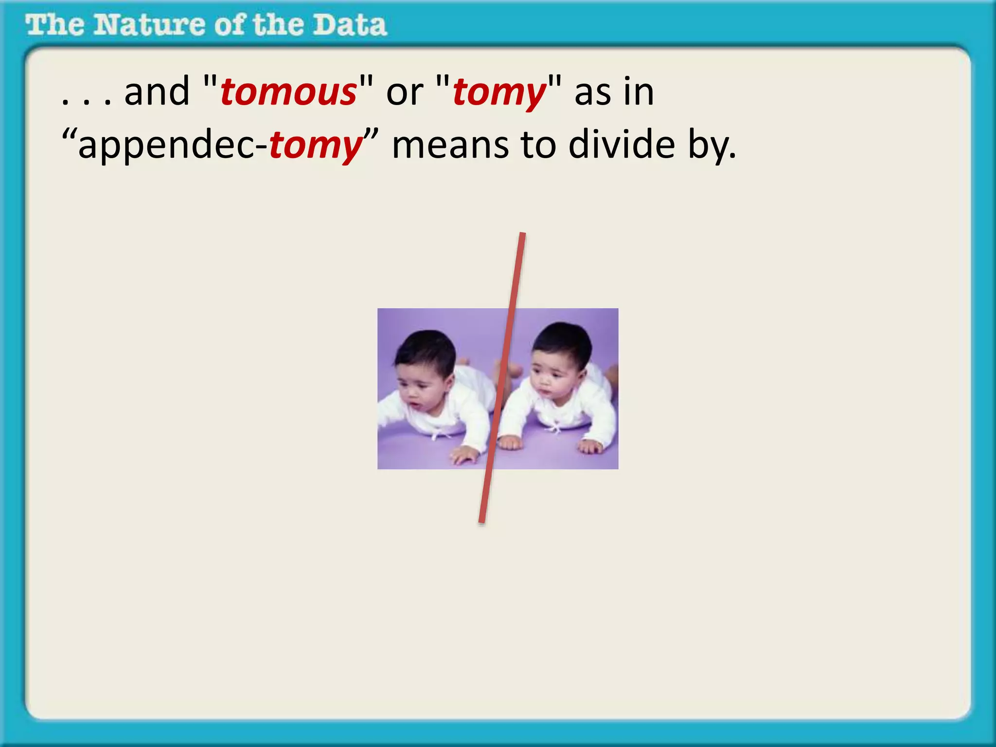 . . . and "tomous" or "tomy" as in 
“appendec-tomy” means to divide by. 
 