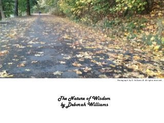 Photograph by D. Williams © All rights reserved.

The Nature of Wisdom
by Deborah Williams

 