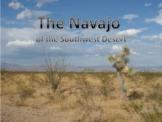 The Navajo of the Southwest Desert 