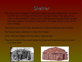 Food The Navajo hunted deers, ponghorn antelopes and rabbits to eat them. They grew too watermelons, corn beans and squash. They also gathered wild plants, seeds, roots and berries. They raised sheeps so they were farmers too. They stole Pueblo's food. So, they were hunters, gatherers and farmers. 