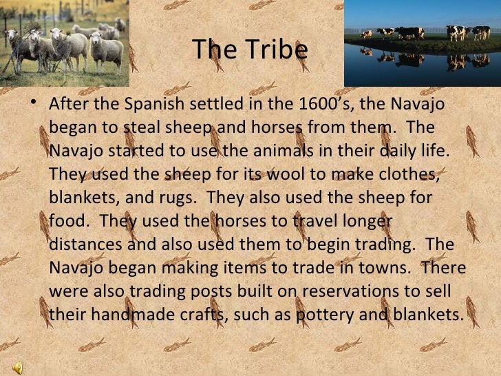 The Navajo Tribe