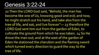 22Then the LORD God said, “Behold, the man has
become like one of Us, knowing good and evil; and now,
he might stretch out his hand, and take also from the
tree of life, and eat, and live forever”— 23 therefore the
LORD God sent him out from the garden of Eden, to
cultivate the ground from which he was taken. 24 So He
drove the man out; and at the east of the garden of
Eden He stationed the cherubim and the flaming sword
which turned every direction to guard the way to the
tree of life.
Genesis 3:22-24
 
