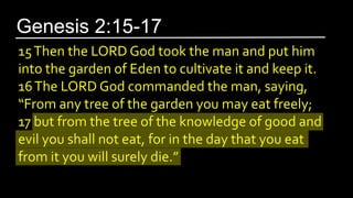 15Then the LORD God took the man and put him
into the garden of Eden to cultivate it and keep it.
16The LORD God commanded the man, saying,
“From any tree of the garden you may eat freely;
17 but from the tree of the knowledge of good and
evil you shall not eat, for in the day that you eat
from it you will surely die.”
Genesis 2:15-17
 