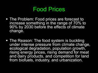 In 2009, the number of hungry people passed one billion for the first time (Following the collapse of the Lehman Brothers which caused oil to reach $147 a barrel)Food PricesThe Problem: Food prices are forecast to increase something in the range of 70% to 90% by 2030 before the effects of climate change. 