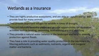 Wetlands as a Insurance
• They are highly productive ecosystems, and are able to capture energy and
provide food for many animals.
• They provide important refuges for wildlife in times of drought.
• They are naturally beautiful places and provide opportunities for recreation
activities such as boating, swimming, bushwalking and bird watching.
• They provide a natural water balance in the landscape and help to provide
protection against floods.
• They have a role in providing water quality protection in the catchment by
filtering pollutants such as sediments, nutrients, organic and inorganic
matter and bacteria.
 