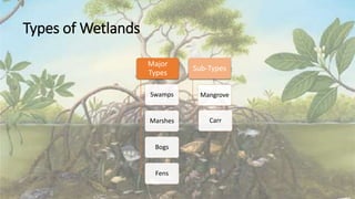Types of Wetlands
Sub-Types
Mangrove
Carr
Major
Types
Swamps
Marshes
Bogs
Fens
 