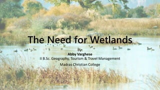 The Need for Wetlands
By:
Abby Varghese
II B.Sc. Geography, Tourism & Travel Management
Madras Christian College
 