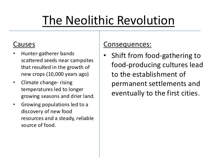 The neolithic revolution essay