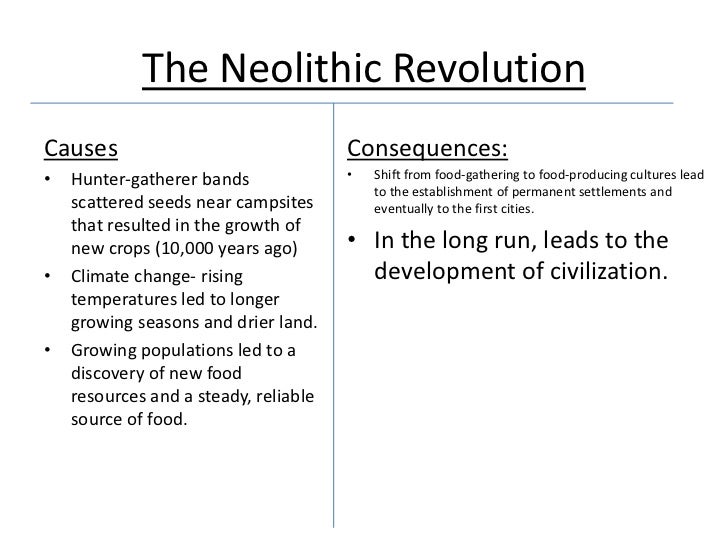 The Neolithic Revolution T Chart 1