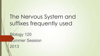 The Nervous System and
suffixes frequently used
Biology 120
Summer Session
2013
 