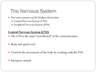 The nervous and endocrine system | PPT