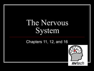 The Nervous
System
Chapters 11, 12, and 16
 
