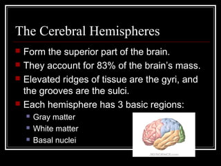The Nervous System | PPT