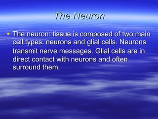 The Neuron The neuron: tissue is composed of two main cell types: neurons and glial cells. Neurons transmit nerve messages. Glial cells are in direct contact with neurons and often surround them.