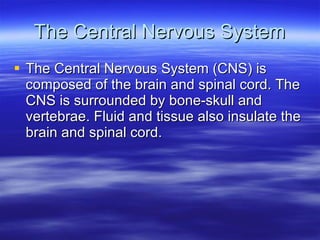 The Central Nervous System The Central Nervous System (CNS) is composed of the brain and spinal cord. The CNS is surrounded by bone-skull and vertebrae. Fluid and tissue also insulate the brain and spinal cord.