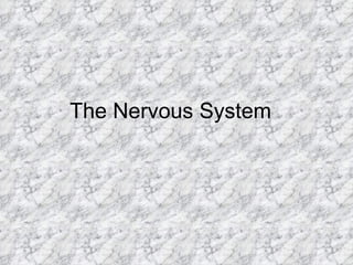 The Nervous System  