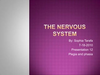 The nervous system By: Sophia Tarafa 7-18-2010 Presentation 12 Plegia and phasia 