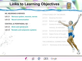 Links to Learning Objectives NS, NEURONS & NERVES LO 2.1  Nervous system, neurons, nerves LO 2.2  Neural communication CENTRAL & PERIPHERAL NS LO 2.3  Brain and spinal cord LO 2.4  Somatic and autonomic systems  STRUCTURES OF THE BRAIN LO 2.5  Studying the brain LO 2.6  Bottom part of the brain LO 2.7  Control of emotion, learning,  memory, & motivation LO 2.8  Control of senses and movement LO 2.9  Higher forms of thought LO 2.10  Left and right sides of the brain  THE CHEMICAL CONNECTION LO 2.11  Hormones & the nervous system  