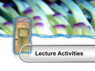 Lecture Activities 