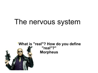 The nervous system &quot; What is &quot;real&quot;? How do you define &quot;real&quot;?&quot; Morpheus 
