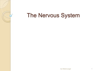 The Nervous System Ian Matmungal 1 
