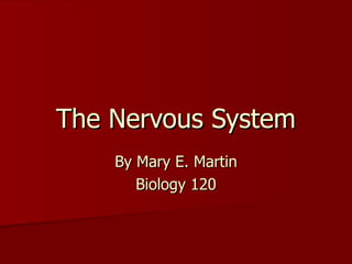 The Nervous System By Mary E. Martin Biology 120 
