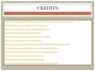 http://library.thinkquest.org/2935/Natures_Best/Nat_Best_Low_Level/Nervous_page.L.html

http://www.biology-online.org/8/1_nervous_system.htm

http://webschoolsolutions.com/patts/systems/nervous.htm

http://www.innerbody.com/image/nerv06.html

http://learn.genetics.utah.edu/content/addiction/reward/

http://faculty.washington.edu/chudler/ap.html

http://www.albany.edu/faculty/cafrye/apsy601/Ch.02cellsofthenervoussystem.html

http://www.biologymad.com/nervoussystem/nervoussystemintro.htm

http://psychology.about.com/od/biopsychology/ss/neuronanat.htm

http://webspace.ship.edu/cgboer/actionpot.html

http://webspace.ship.edu/cgboer/theneuron.html

http://www.mind.ilstu.edu/curriculum/neurons_intro/neurons_intro.php
 