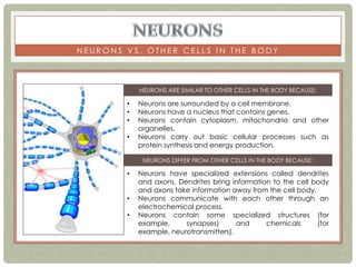 NEURONS VS. OTHER CELLS IN THE BODY



            NEURONS ARE SIMILAR TO OTHER CELLS IN THE BODY BECAUSE:

        •   Neurons are surrounded by a cell membrane.
        •   Neurons have a nucleus that contains genes.
        •   Neurons contain cytoplasm, mitochondria and other
            organelles.
        •   Neurons carry out basic cellular processes such as
            protein synthesis and energy production.

             NEURONS DIFFER FROM OTHER CELLS IN THE BODY BECAUSE:

        •   Neurons have specialized extensions called dendrites
            and axons. Dendrites bring information to the cell body
            and axons take information away from the cell body.
        •   Neurons communicate with each other through an
            electrochemical process.
        •   Neurons contain some specialized structures (for
            example,     synapses)       and     chemicals      (for
            example, neurotransmitters).
 