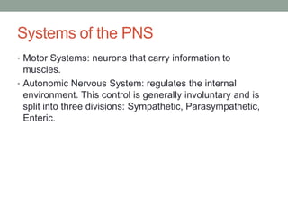 Systems of the PNS
• Motor Systems: neurons that carry information to
  muscles.
• Autonomic Nervous System: regulates the internal
  environment. This control is generally involuntary and is
  split into three divisions: Sympathetic, Parasympathetic,
  Enteric.
 