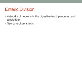 Enteric Division
• Networks of neurons in the digestive tract, pancreas, and
  gallbladder.
• Also control peristalsis.
 