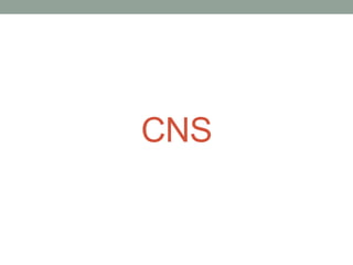 CNS
 
