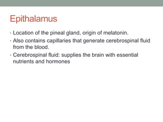 Epithalamus
• Location of the pineal gland, origin of melatonin.
• Also contains capillaries that generate cerebrospinal fluid
  from the blood.
• Cerebrospinal fluid: supplies the brain with essential
  nutrients and hormones
 