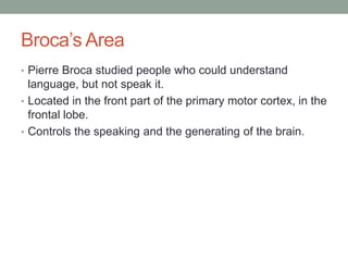 Broca’s Area
• Pierre Broca studied people who could understand
  language, but not speak it.
• Located in the front part of the primary motor cortex, in the
  frontal lobe.
• Controls the speaking and the generating of the brain.
 