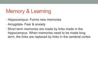 Memory & Learning
• Hippocampus- Forms new memories
• Amygdala- Fear & anxiety
• Short term memories are made by links made in the
 hippocampus. When memories need to be made long
 term, the links are replaced by links in the cerebral cortex
 