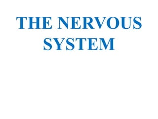THE NERVOUS
  SYSTEM
 