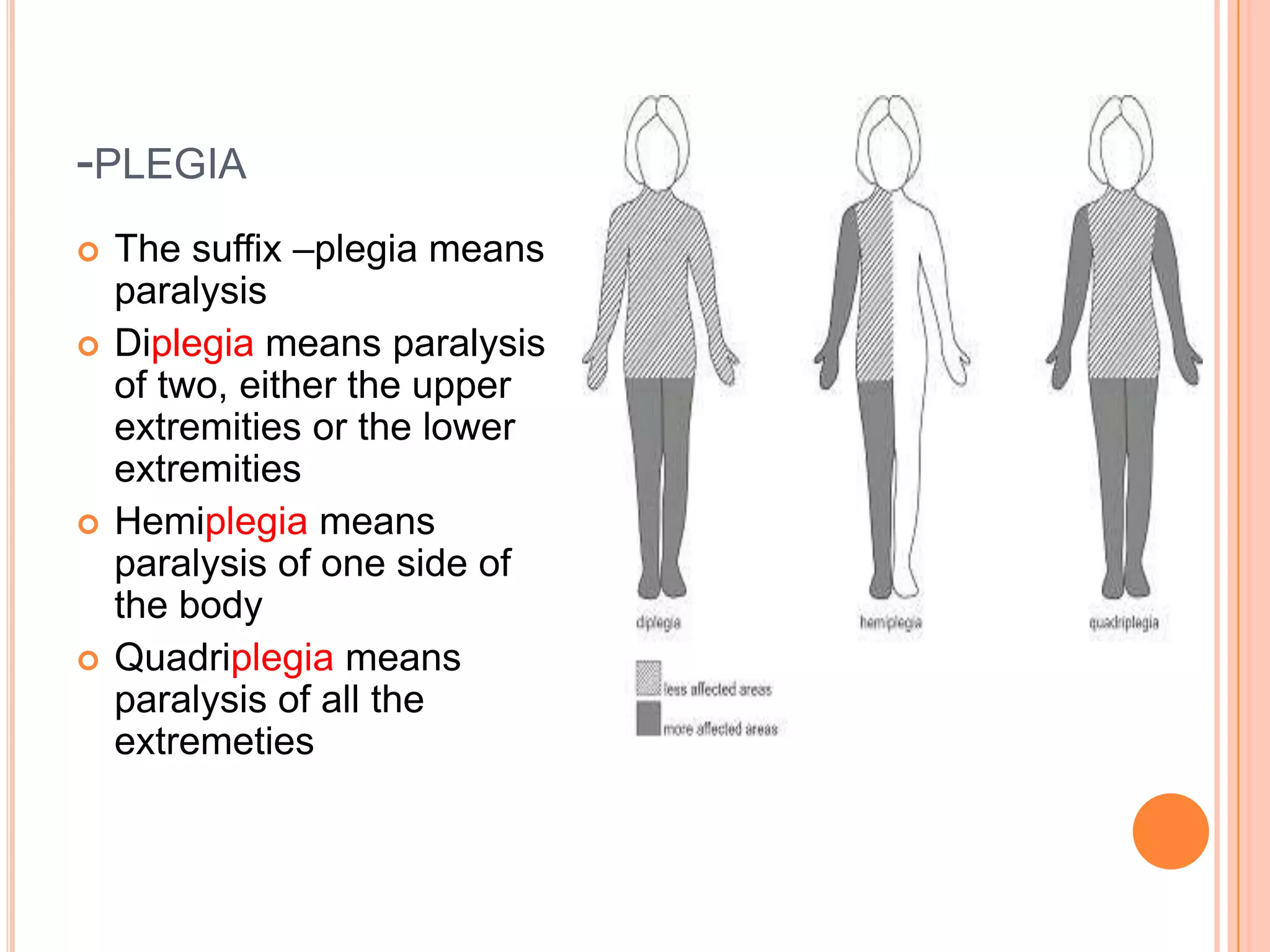 -PLEGIA
   The suffix –plegia means
    paralysis
   Diplegia means paralysis
    of two, either the upper
    extremities or the lower
    extremities
   Hemiplegia means
    paralysis of one side of
    the body
   Quadriplegia means
    paralysis of all the
    extremeties
 