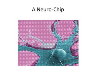 A Neuro-Chip

 