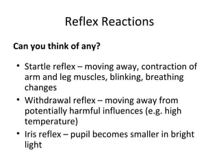 Reflex Reactions
Can you think of any?
• Startle reflex – moving away, contraction of
arm and leg muscles, blinking, breathing
changes
• Withdrawal reflex – moving away from
potentially harmful influences (e.g. high
temperature)
• Iris reflex – pupil becomes smaller in bright
light

 