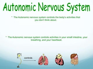 * The Autonomic nervous system controls the body’s activities that
you don’t think about.

* The Autonomic nervous system controls activities in your small intestine, your
breathing, and your heartbeat.

controls

 