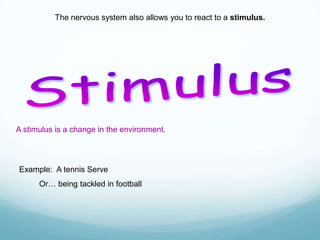 The nervous system also allows you to react to a stimulus.

A stimulus is a change in the environment.

Example: A tennis Serve
Or… being tackled in football

 