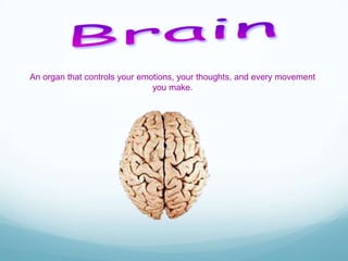 An organ that controls your emotions, your thoughts, and every movement
you make.

 