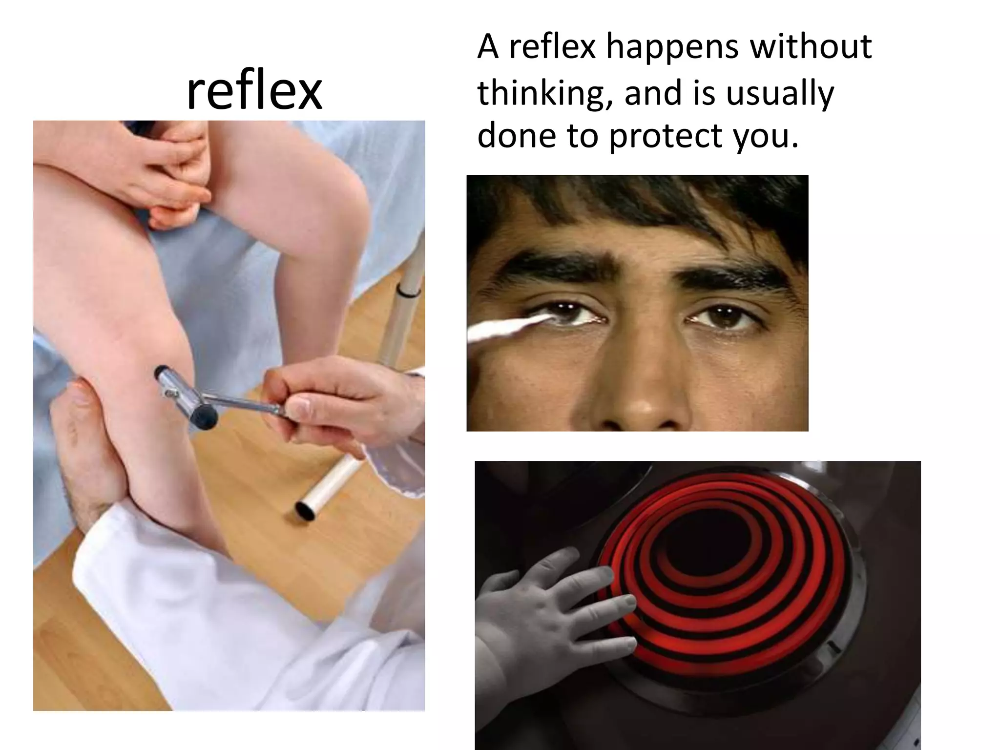 reflex
A reflex happens without
thinking, and is usually
done to protect you.
 