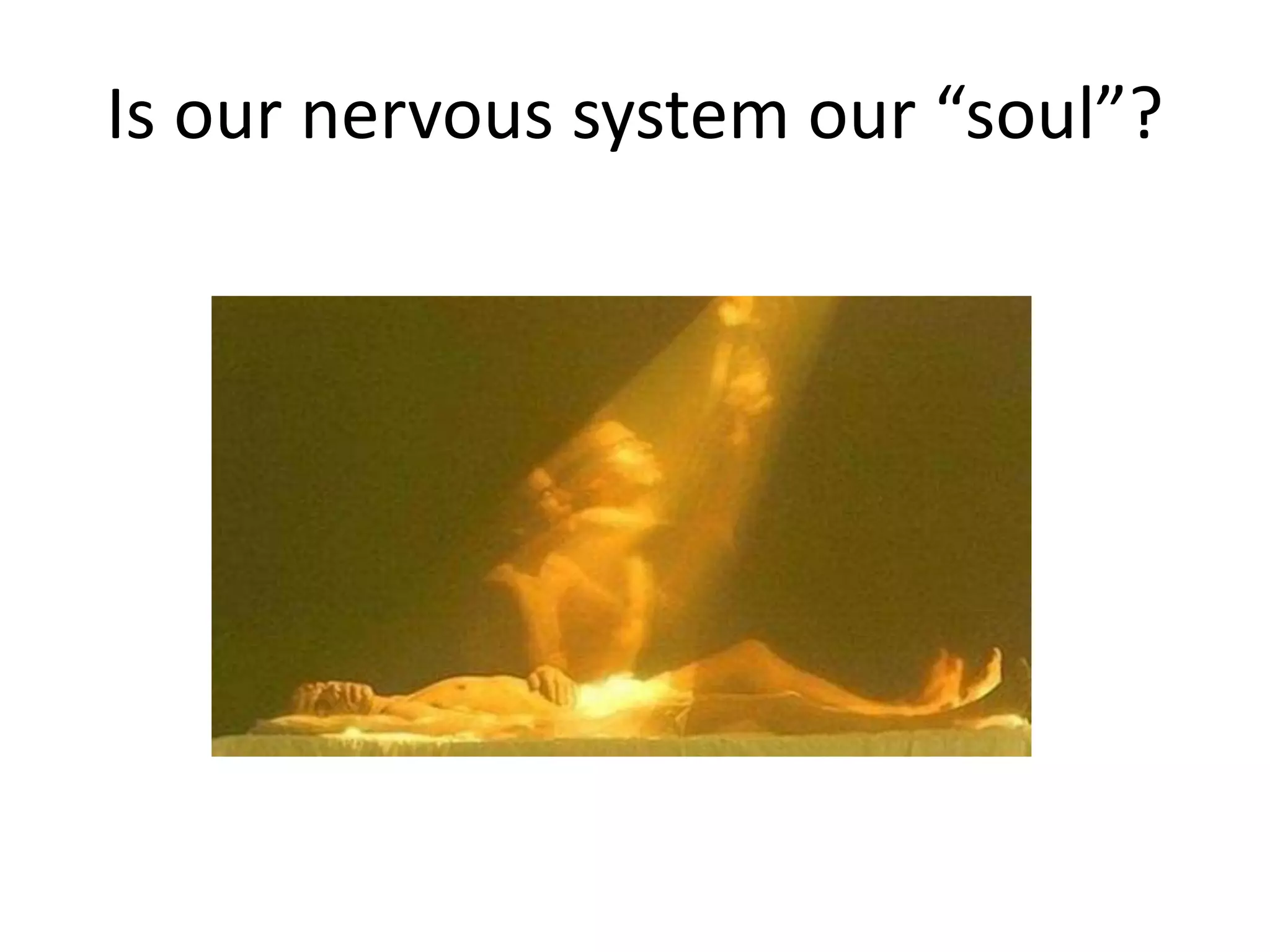 Is our nervous system our “soul”?
 