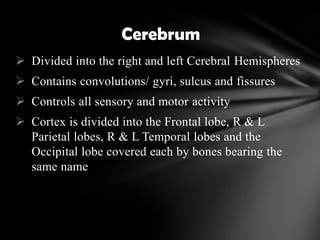  Divided into the right and left Cerebral Hemispheres
 Contains convolutions/ gyri, sulcus and fissures
 Controls all sensory and motor activity
 Cortex is divided into the Frontal lobe, R & L
Parietal lobes, R & L Temporal lobes and the
Occipital lobe covered each by bones bearing the
same name
Cerebrum
 