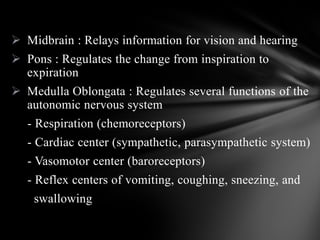  Midbrain : Relays information for vision and hearing
 Pons : Regulates the change from inspiration to
expiration
 Medulla Oblongata : Regulates several functions of the
autonomic nervous system
- Respiration (chemoreceptors)
- Cardiac center (sympathetic, parasympathetic system)
- Vasomotor center (baroreceptors)
- Reflex centers of vomiting, coughing, sneezing, and
swallowing
 