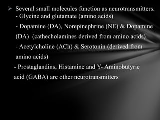  Several small molecules function as neurotransmitters.
- Glycine and glutamate (amino acids)
- Dopamine (DA), Norepinephrine (NE) & Dopamine
(DA) (cathecholamines derived from amino acids)
- Acetylcholine (ACh) & Serotonin (derived from
amino acids)
- Prostaglandins, Histamine and Y- Aminobutyric
acid (GABA) are other neurotransmitters
 